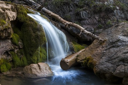 Torrent le Riou du Pont