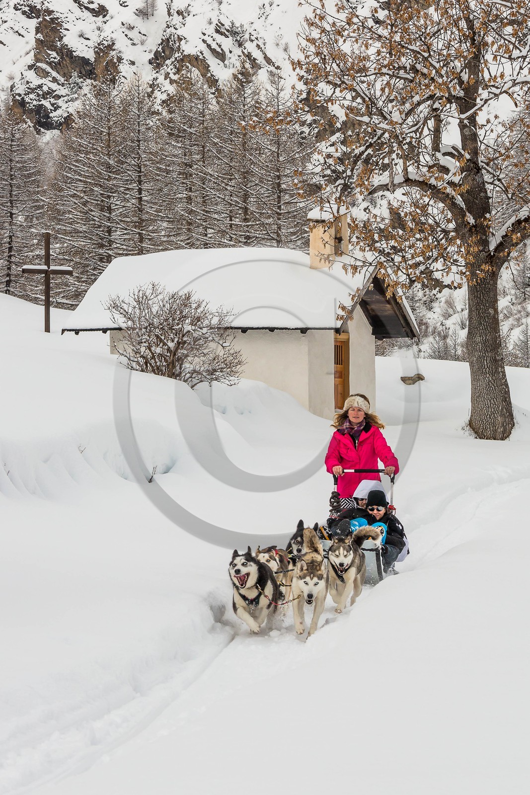 La Condamine-Châtelard, Sainte-Anne la Condamine, Coralie Bonnerot et ses chiens de traineau