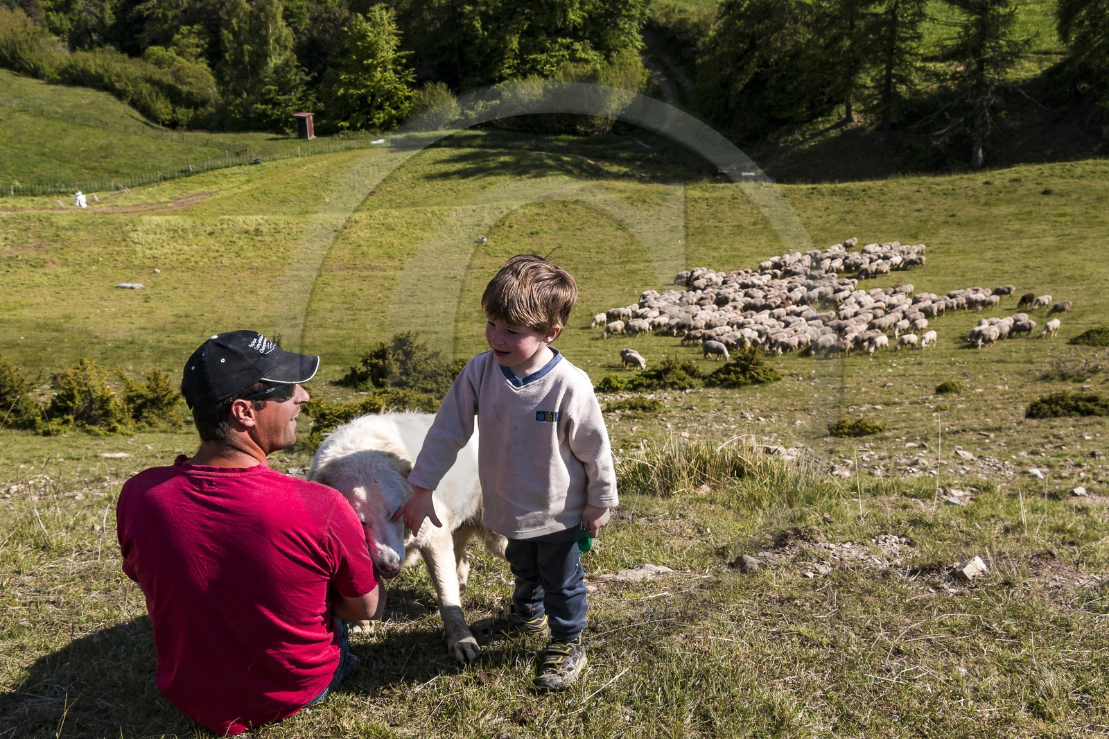 Ferme des Sonnailles, famille Pellissier