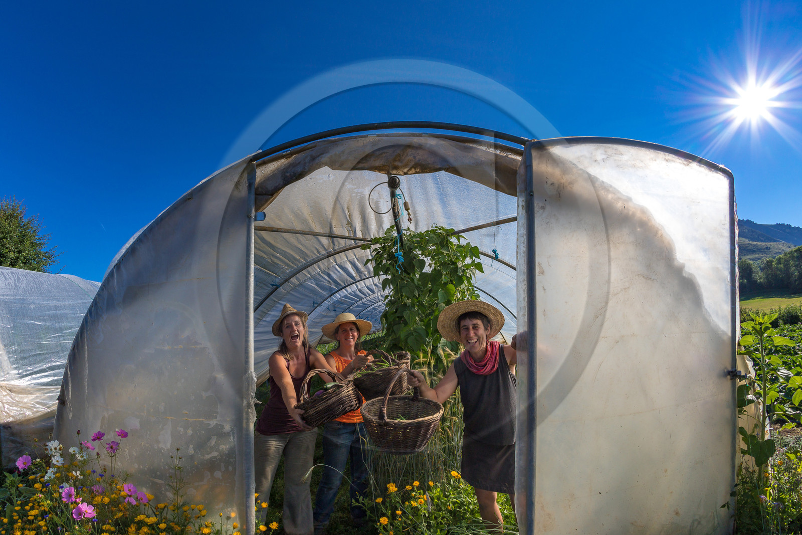 LéguMontagne, Sylvie Jaussaud et  Bertille Gieu, Maraîchères bio
