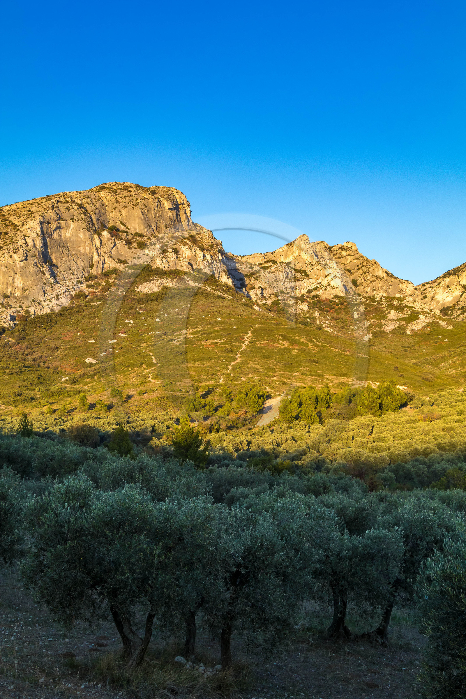 Les Baux de Provence, Domaine La Fabresse