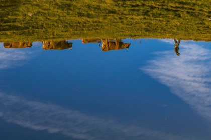 Lac de l'Arpettaz