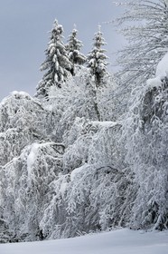ENS de l'Isère, Les Ecouges