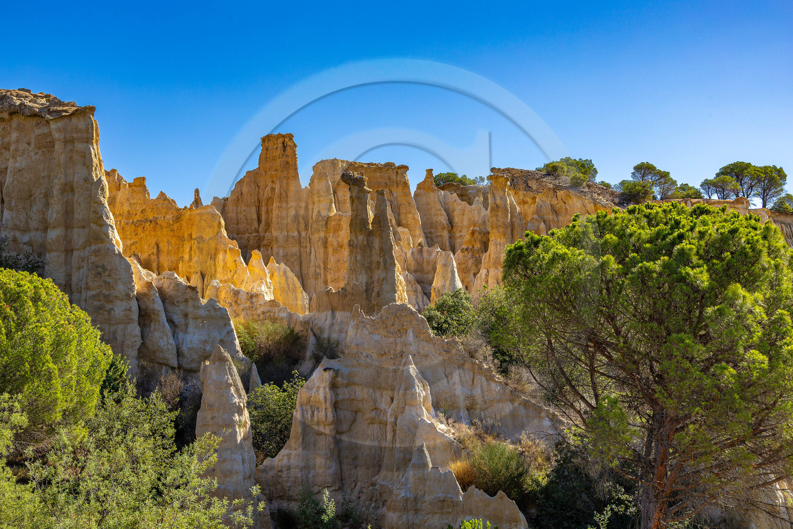 Orgues d'Ille-sur-Têt