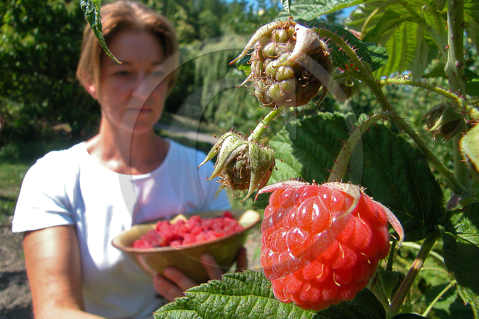 Auberge du Moulin, Corinne Borel