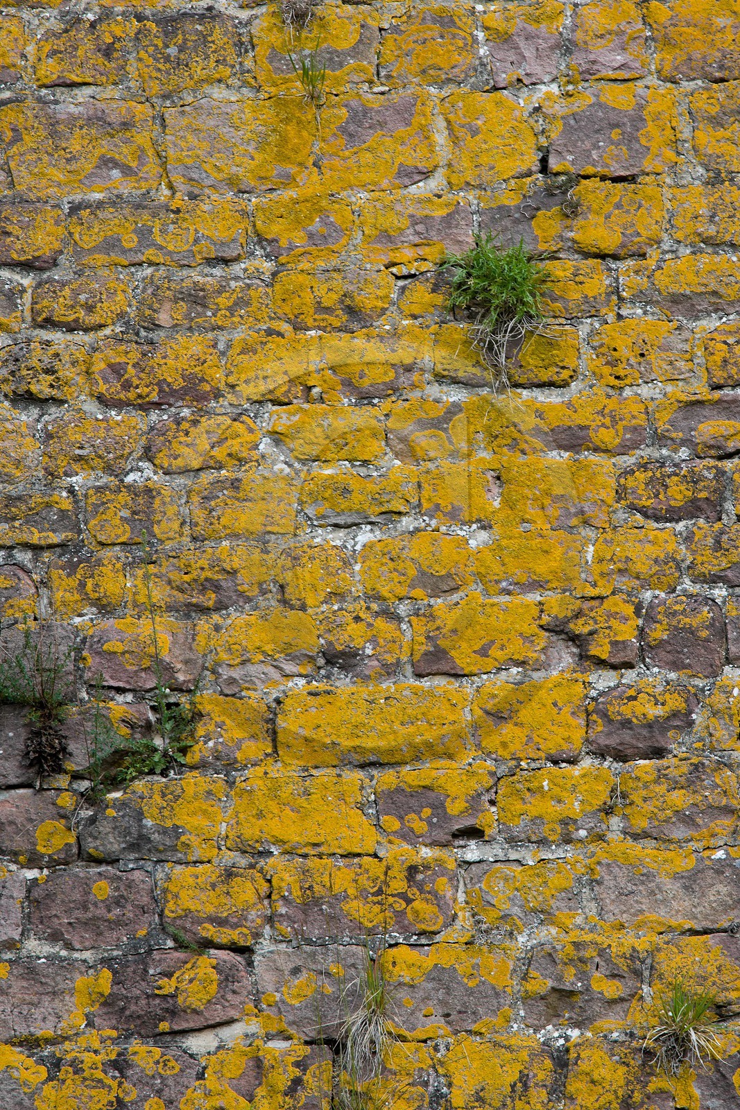 Neuf-Brisach, Fortifications Vauban inscrites au patrimoine mond