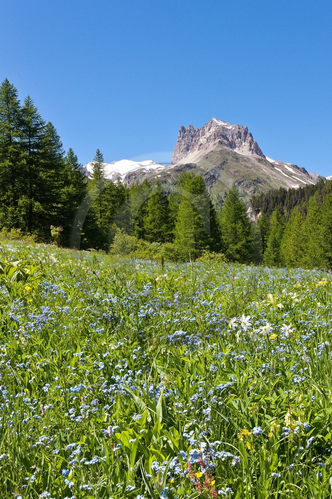 Vallée Etroite, (Valle Stretta en italien)