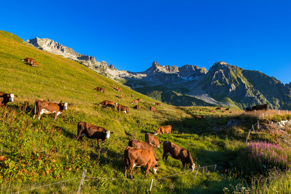 Col de la Madeleine
