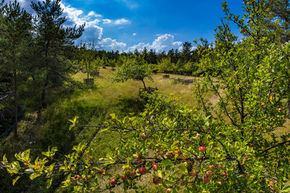 Parc écologique Terre Vivante