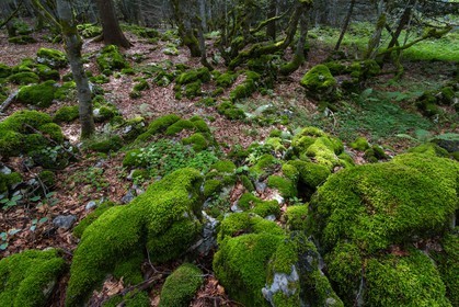 ENS de l'Isère, Plateau de la Molière et du Sornin