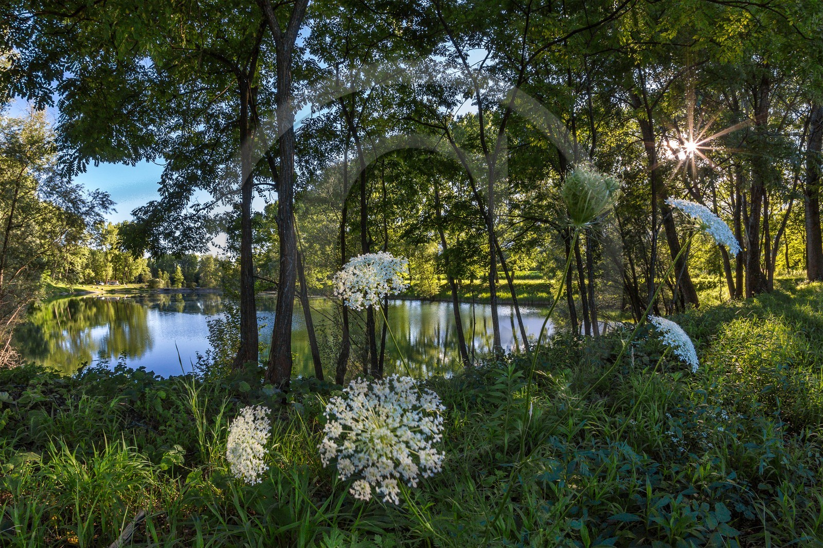 ENS de l'Isère, espace alluvial de la Rolande