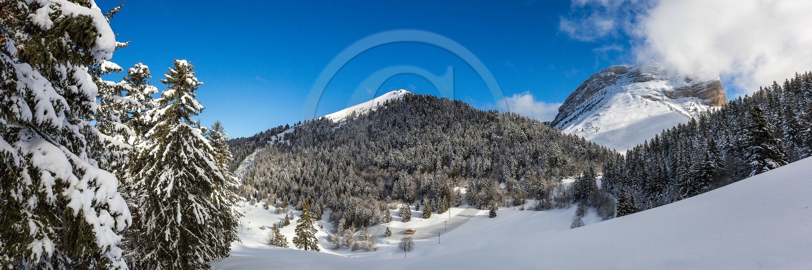 Espace naturel sensible de l'Isère, Col du Coq