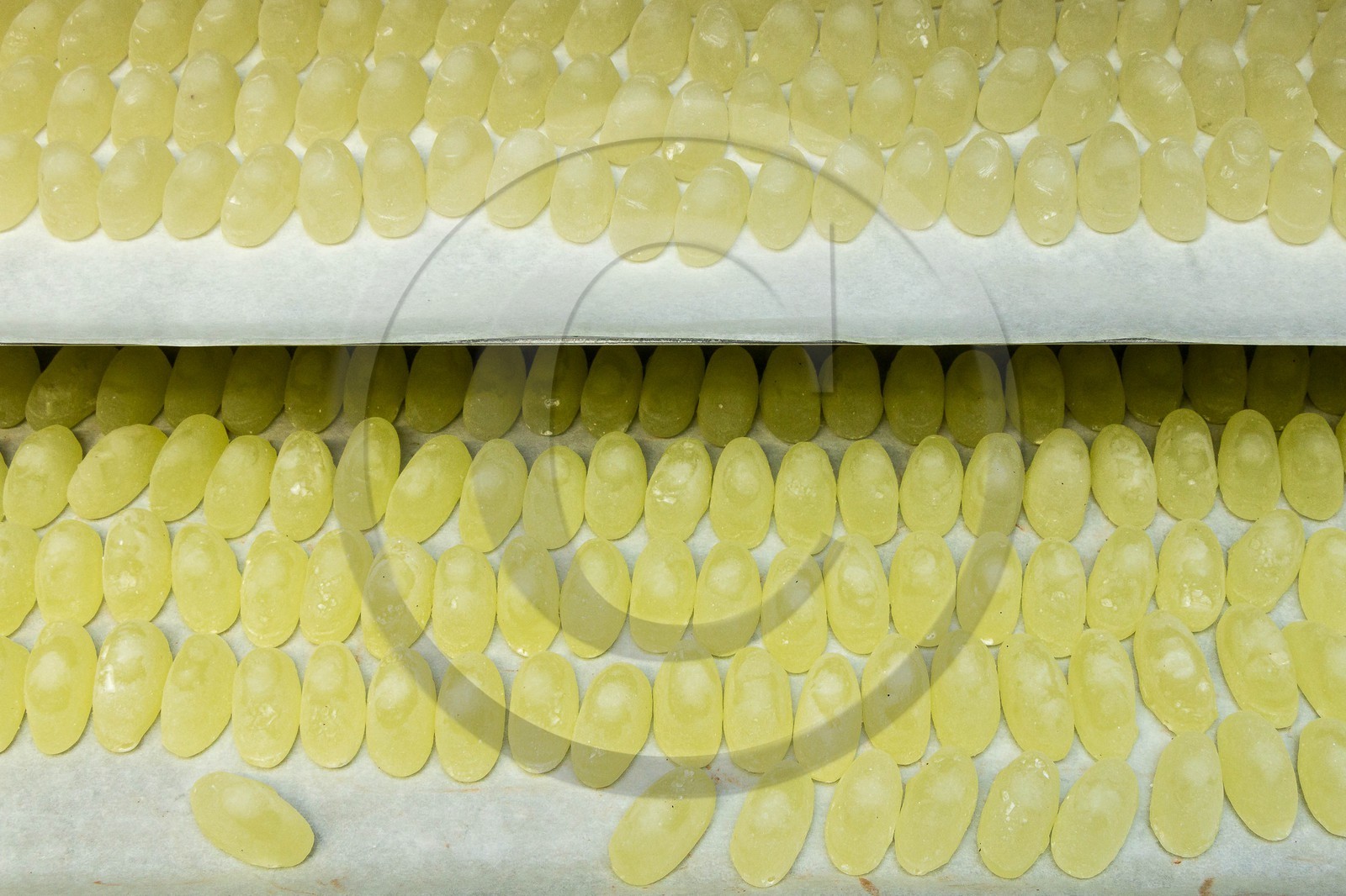 Vallée du Champsaur & Valgaudemar, Thierry SIAT Compagnon-chocolatier-patissier