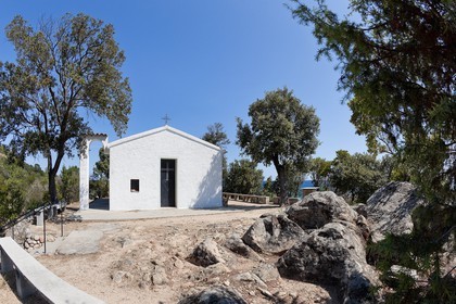 Favone