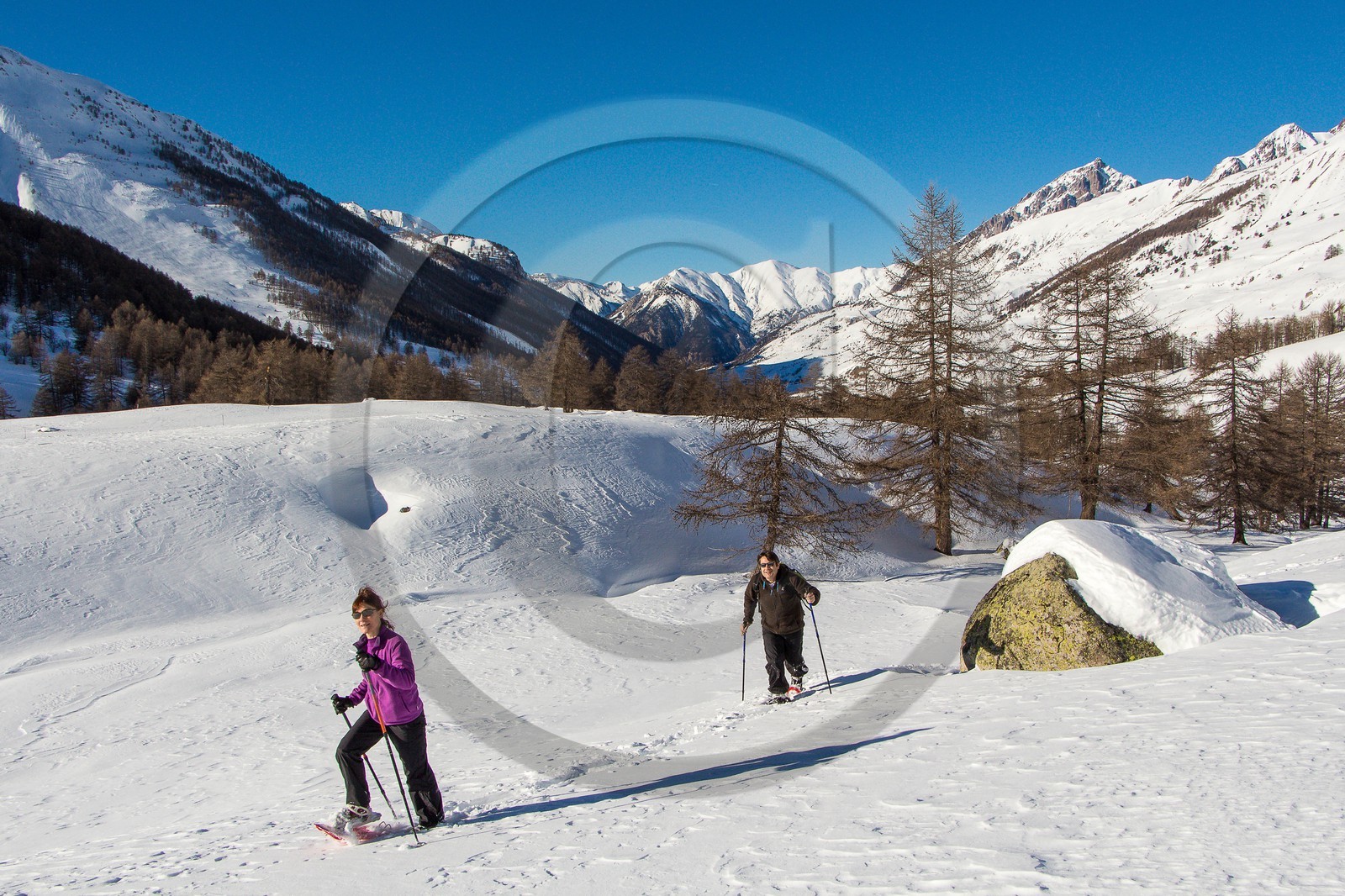 Col de Larche, vallon du lauzanier, randonnée raquettes
