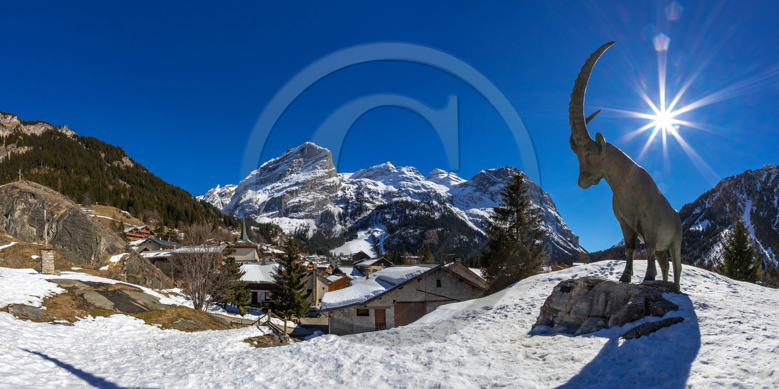 Pralognan-la-Vanoise, bouquetin en bronze