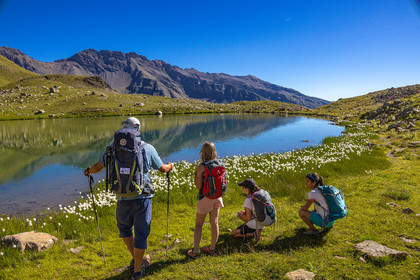 Lac Palluel