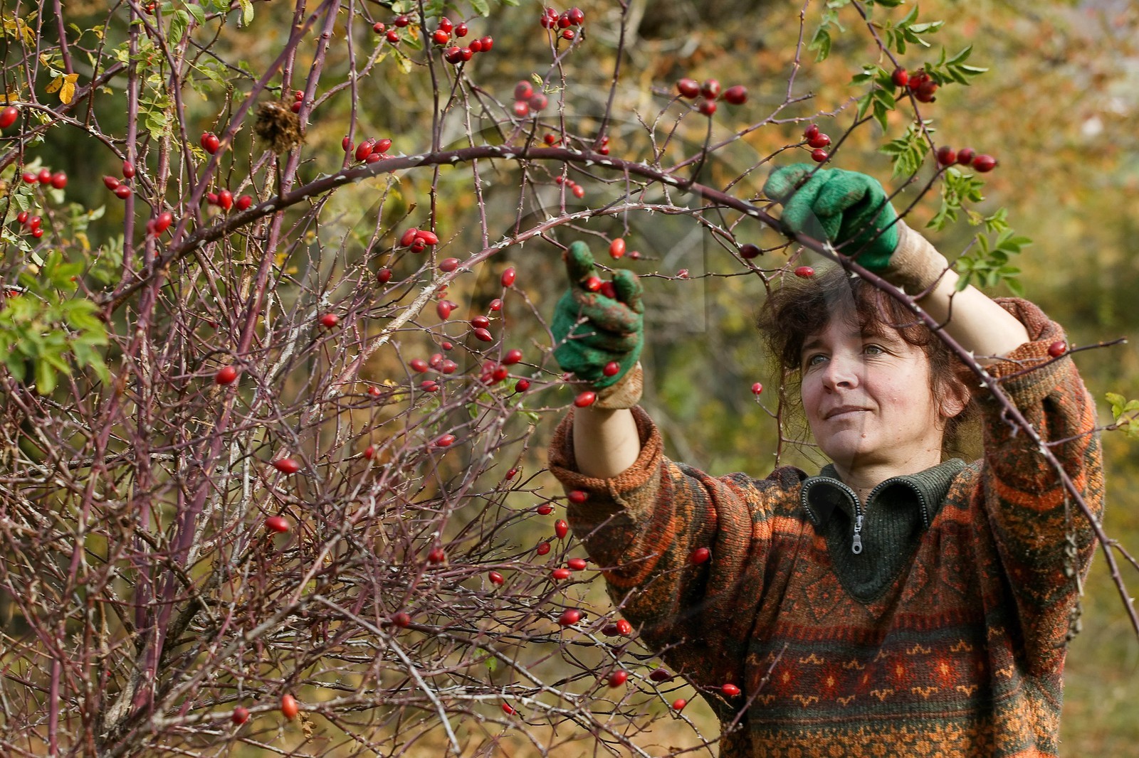 Les jardins des hautes terres de Anne Robichon