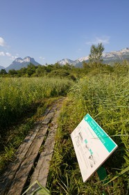 Réserve naturelle du Bout du Lac d'Annecy