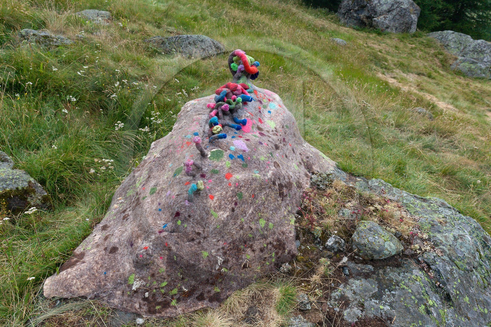 Sentiers Art et Nature Queyras et Val Varaita, Stéphanie Cailleau