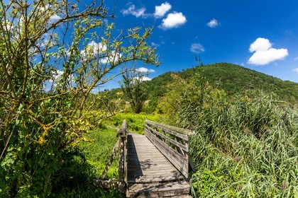 ENS de l'Isère, Marais de Chirens
