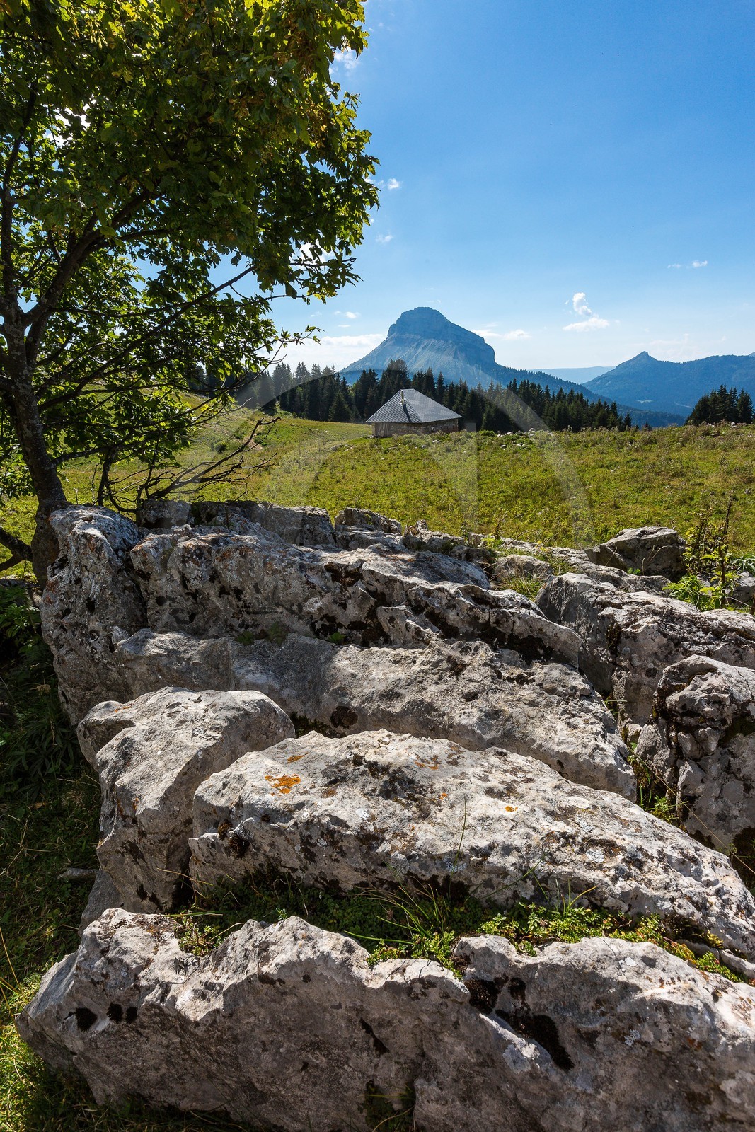 Espace naturel sensible de l'Isère, Col du Coq