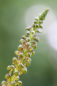 Terre Vivante, stage photo macro nature avec le photographe professionnel Bertrand Bodin