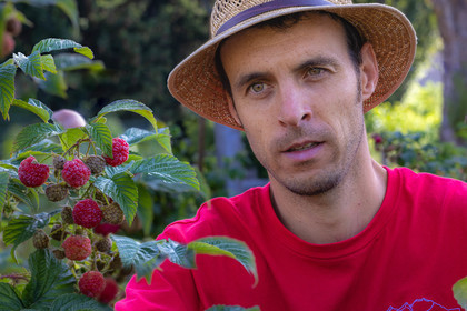 Ecrins de fruits, producteur de fruits rouges