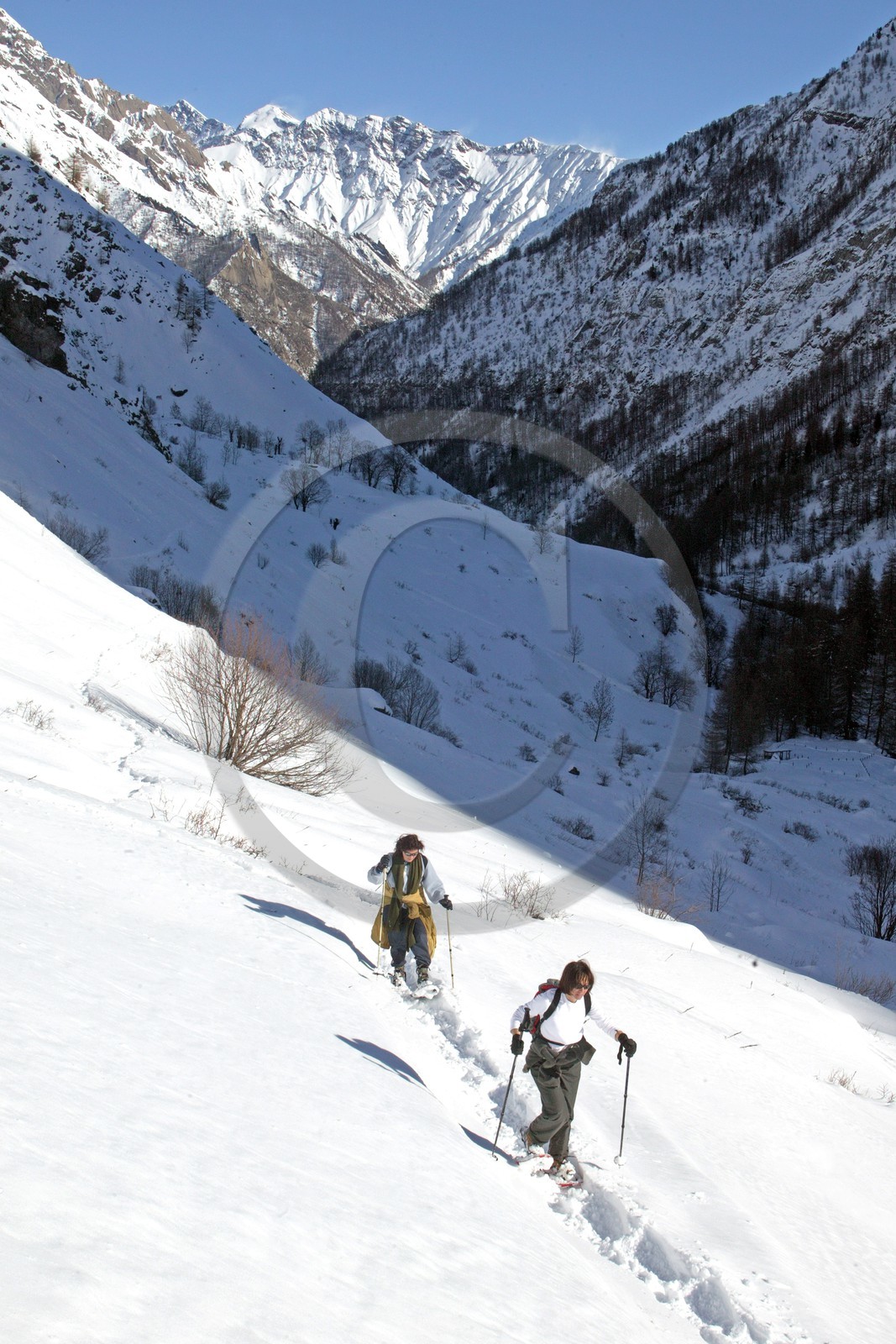 Randonnée raquettes