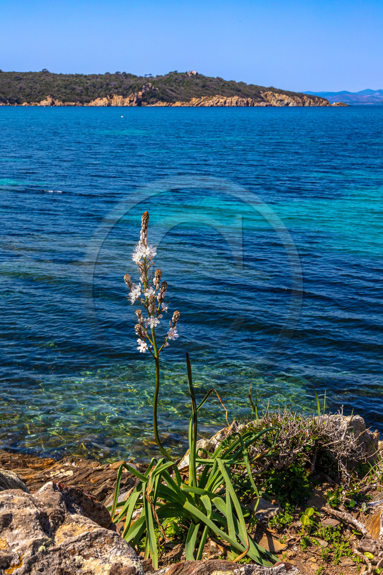 Parc national de Port-Cros