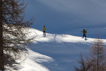 Col de Larche, vallon du lauzanier, randonnée raquettes