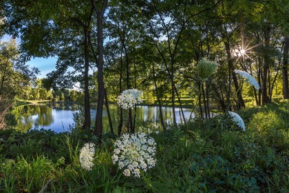 ENS de l'Isère, espace alluvial de la Rolande