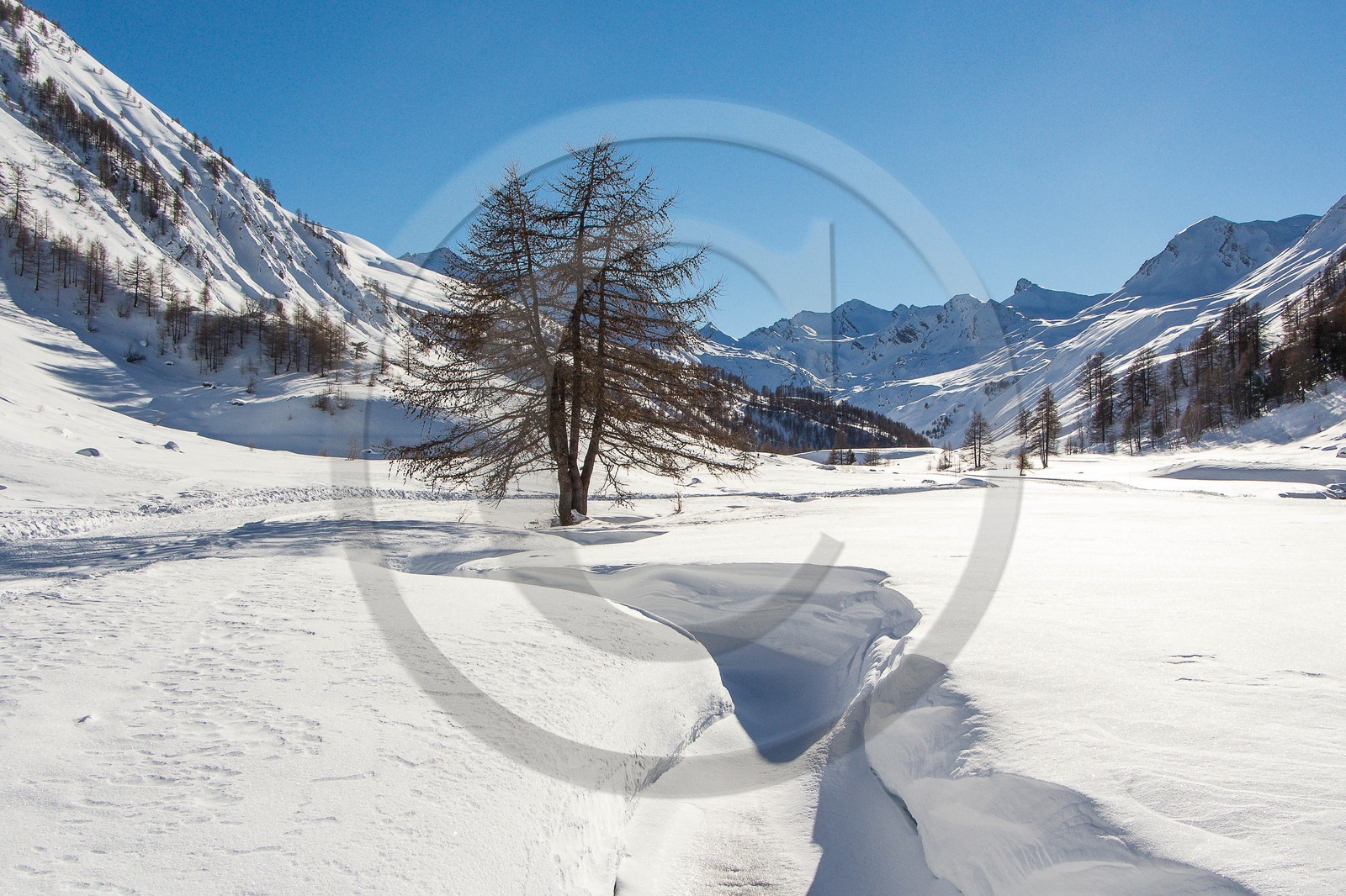 Col de Larche, vallon du lauzanier, randonnée raquettes
