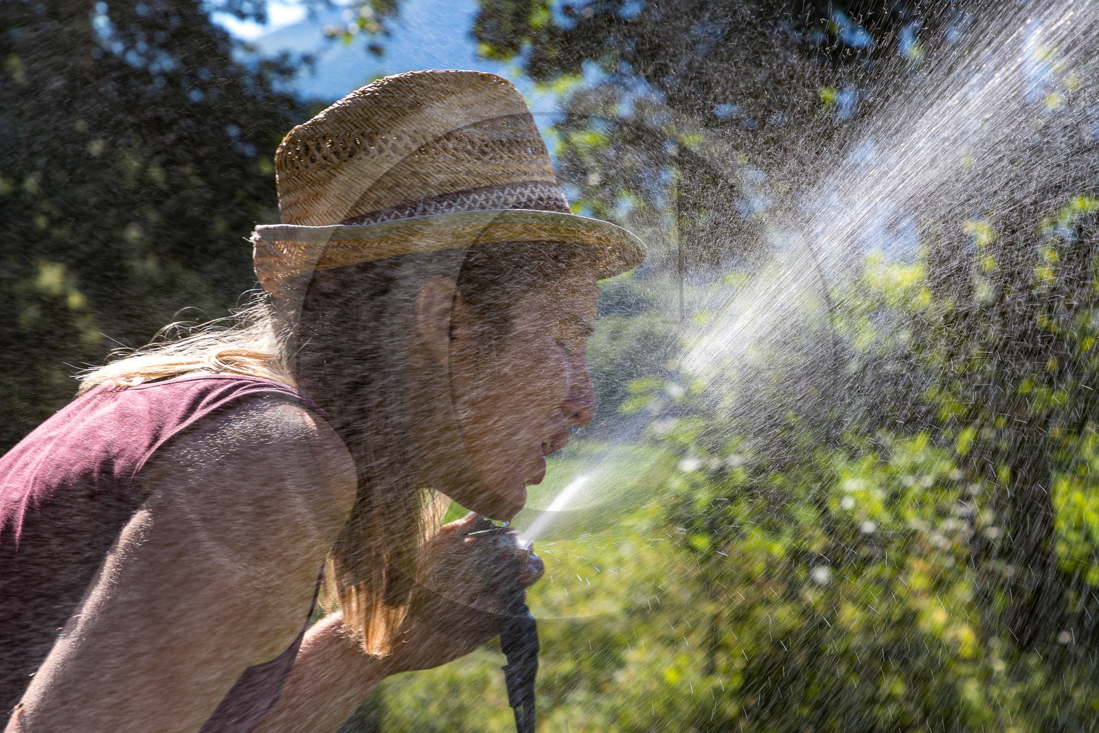 LéguMontagne,  Bertille Gieu, Maraîchère bio