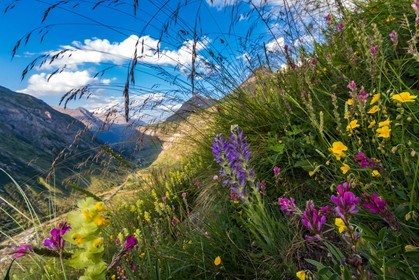 Bonneval-sur-Arc, col de l'Iseran