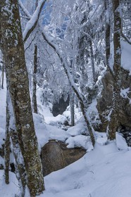 ENS de l'Isère, Les Ecouges