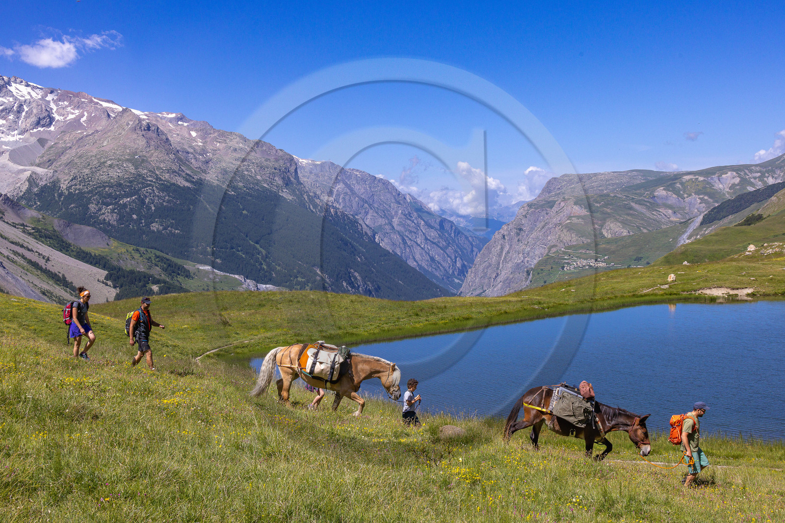 Trek famille avec animaux de bats