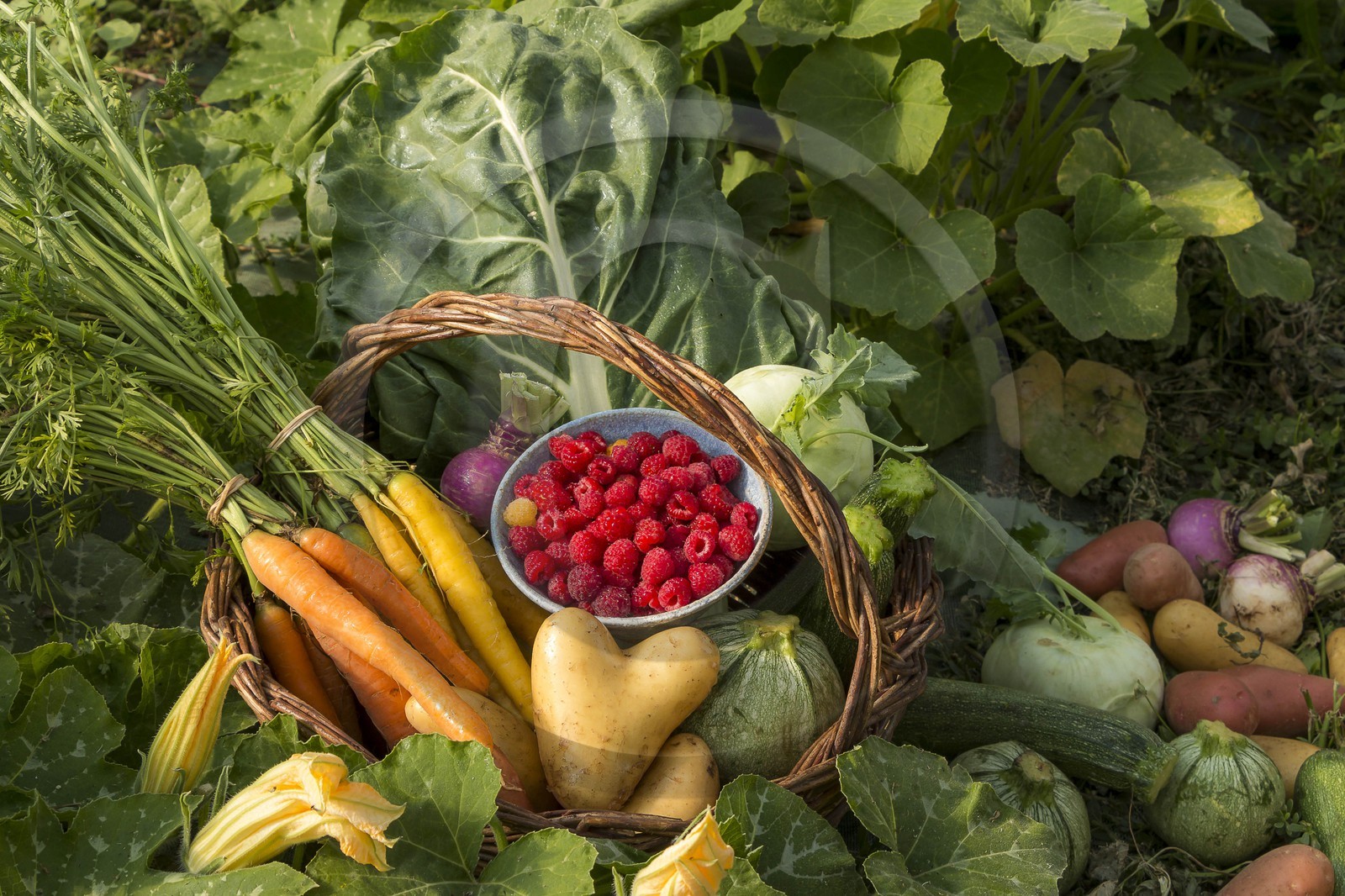 Vallée du Champsaur, Sophie Jaussaud et Stéphane Philippe