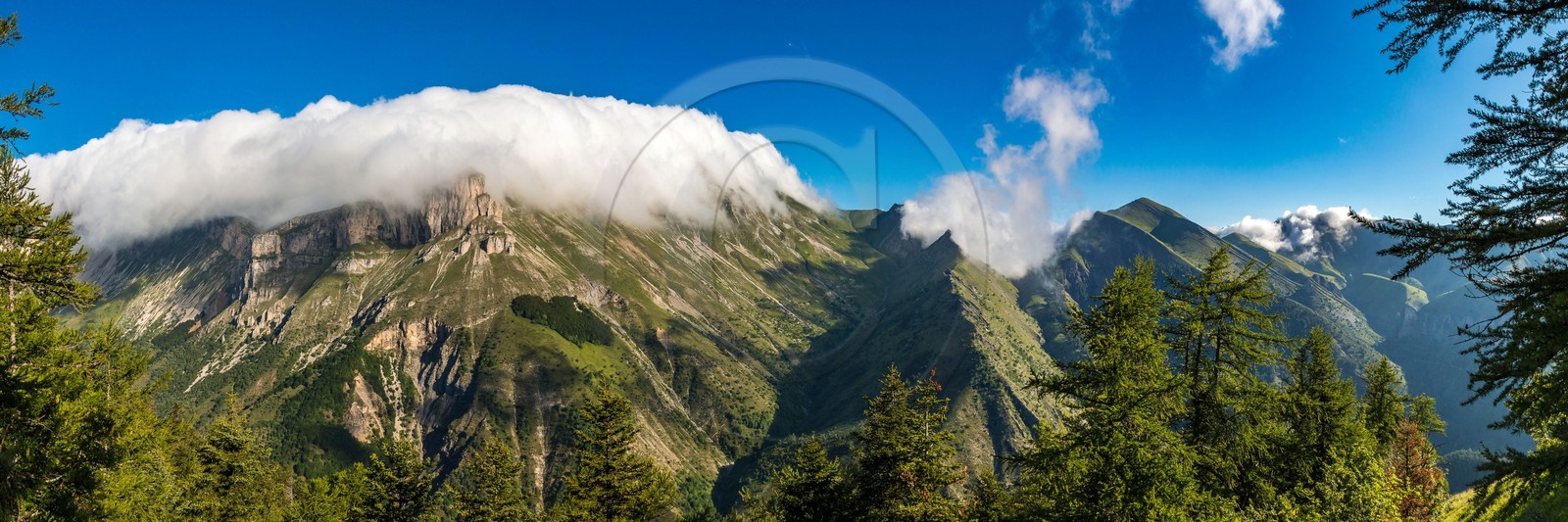 Bois du Chapitre, forêt domaniale de Gap-Chaudun