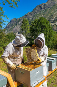 Margaux and Didier Pissard, beekeepers