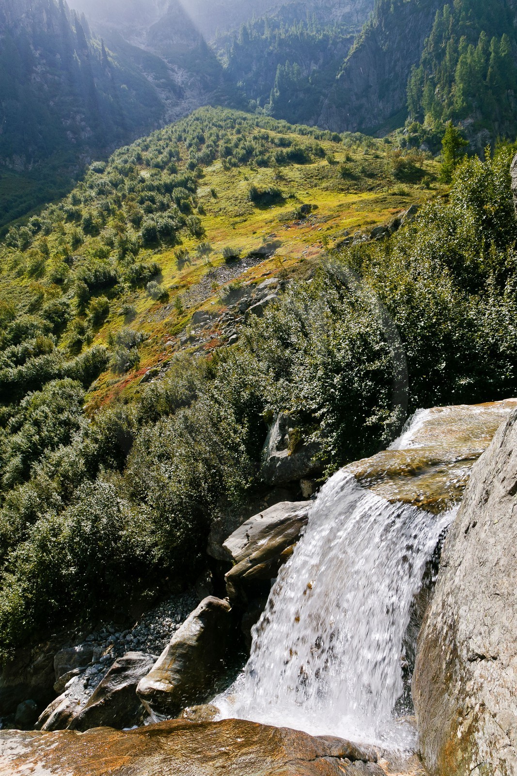 Réserve naturelle du Vallon de Bérard, cascade, torrent de Bérard