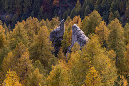 L'automne dans la Vallée du Champsaur