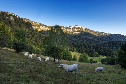 ENS de l'Isère, Les Ecouges