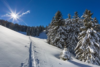 Espace naturel sensible de l'Isère, Col du Coq