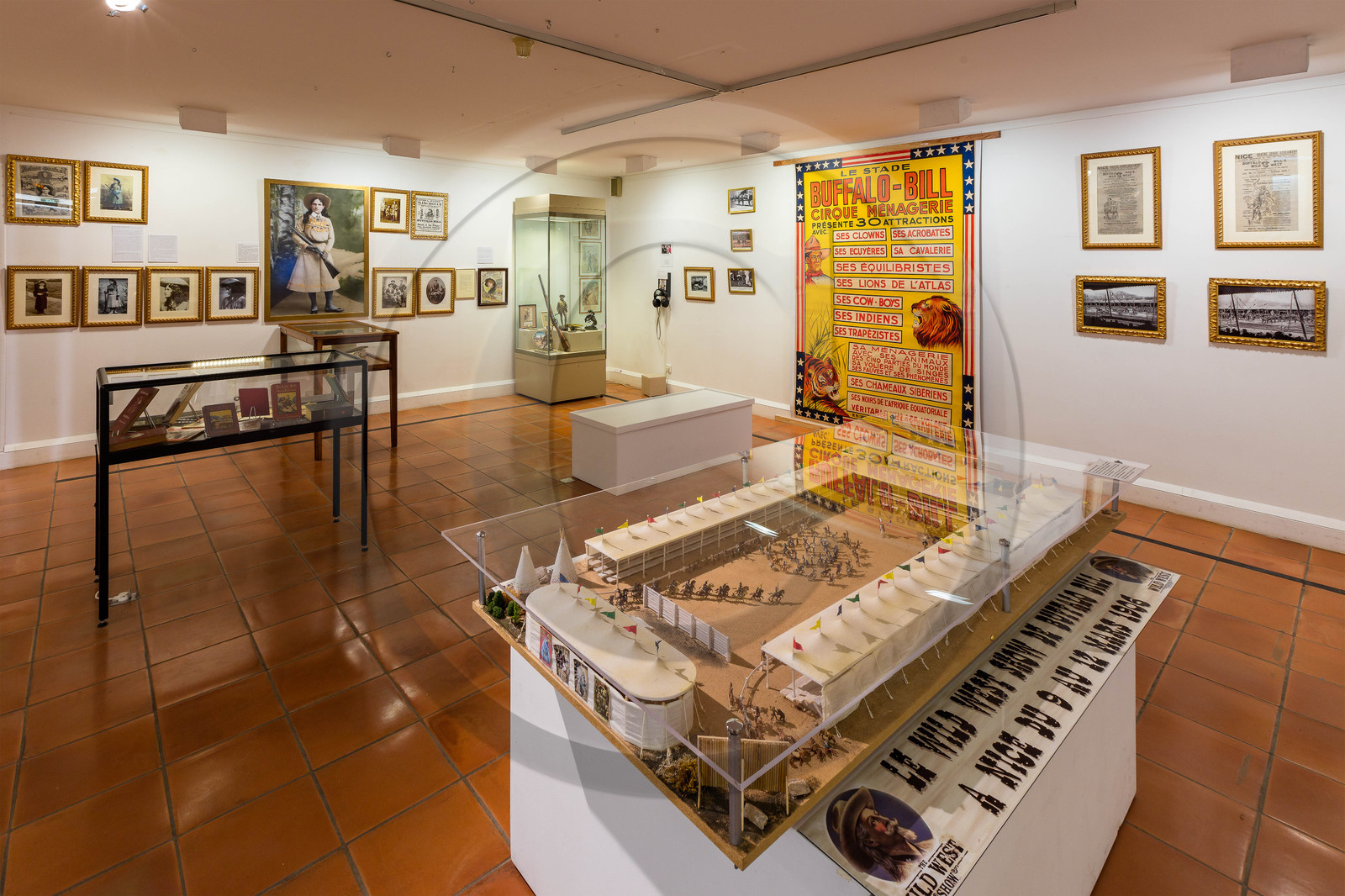 Gap, Musée Muséum départemental des Hautes-Alpes