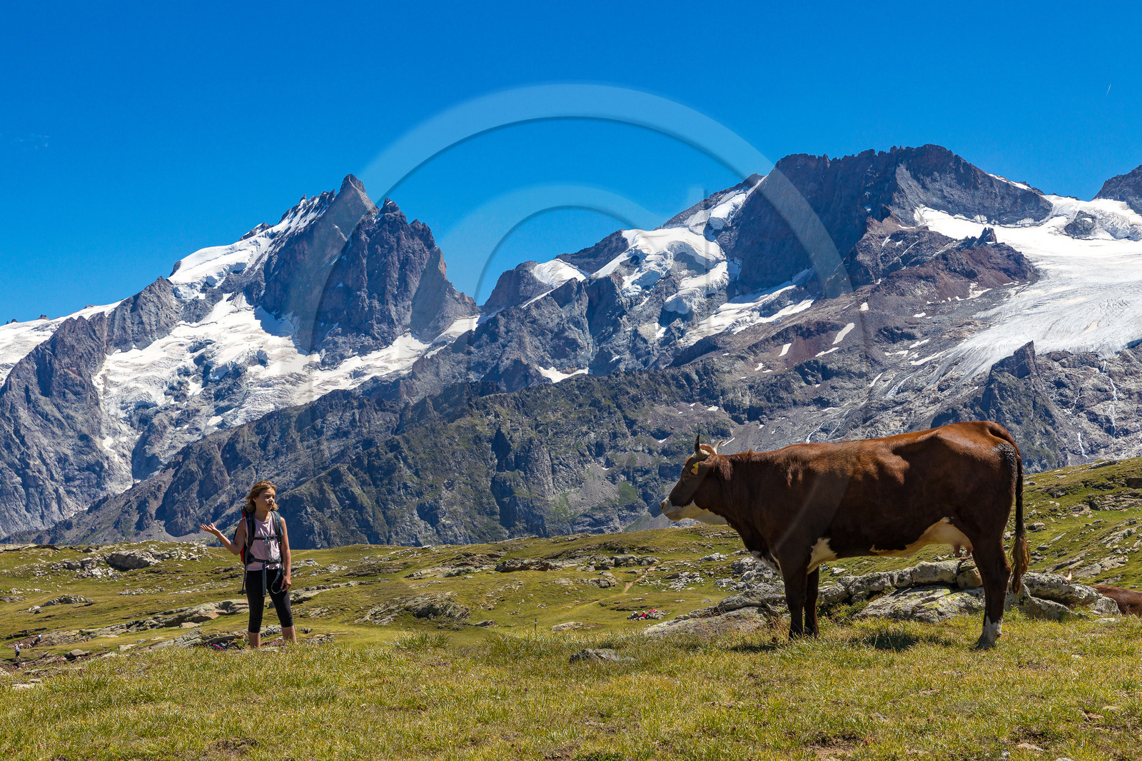 Plateau d'Emparis, randonnée pédestre