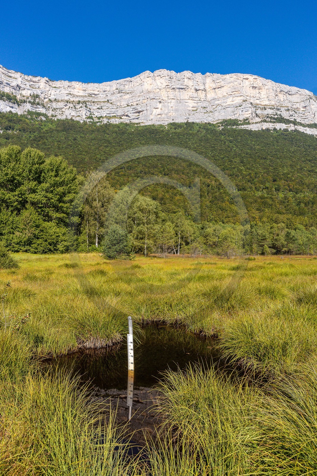 ENS de l'Isère,Tourbières du Peuil