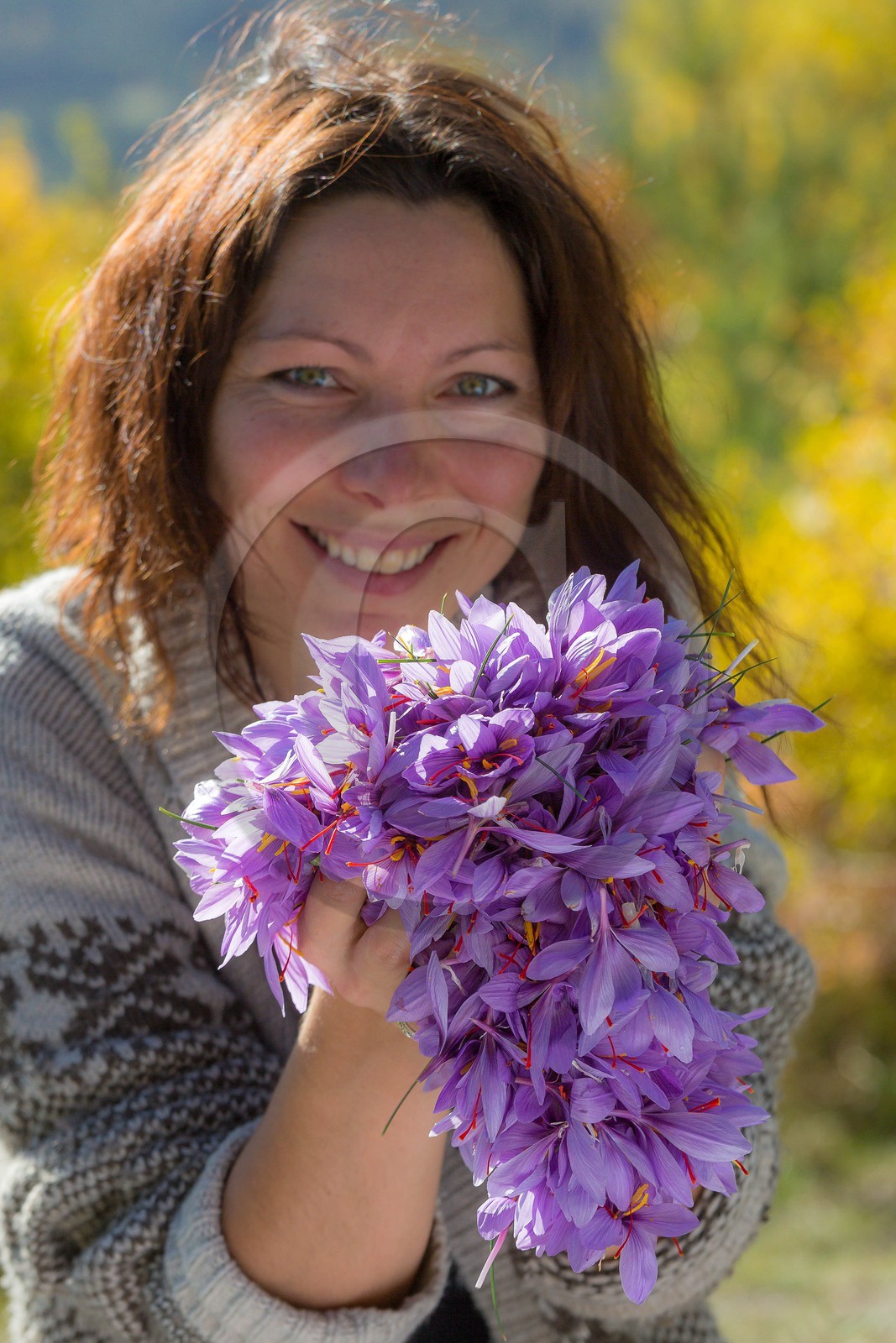 Carole Prost cultive du safran qui ensoleille ses créations