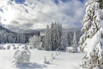 ENS de l'Isère, Les Ecouges