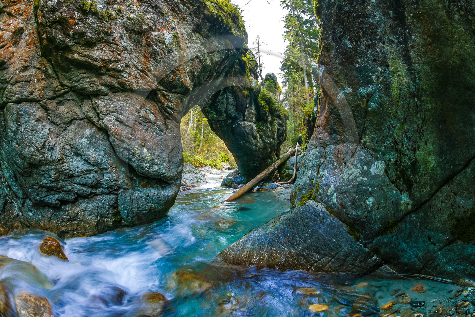 Réserve naturelle des Contamines-Montjoie, Pont naturel, torrent du Bon Nant